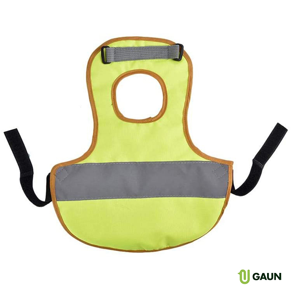Gilet pour poules