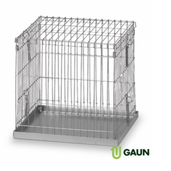 Cage exposition pigeons 40 x 40