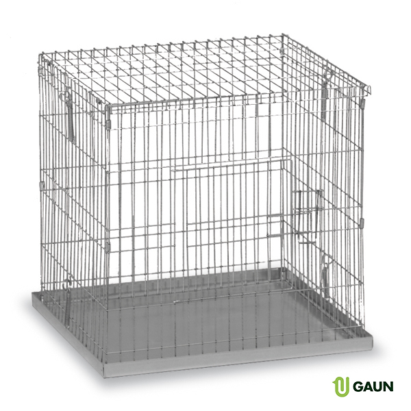 Cage exposition pigeons 60 x 60